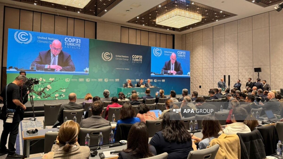 Simon Stiell thanked Azerbaijan