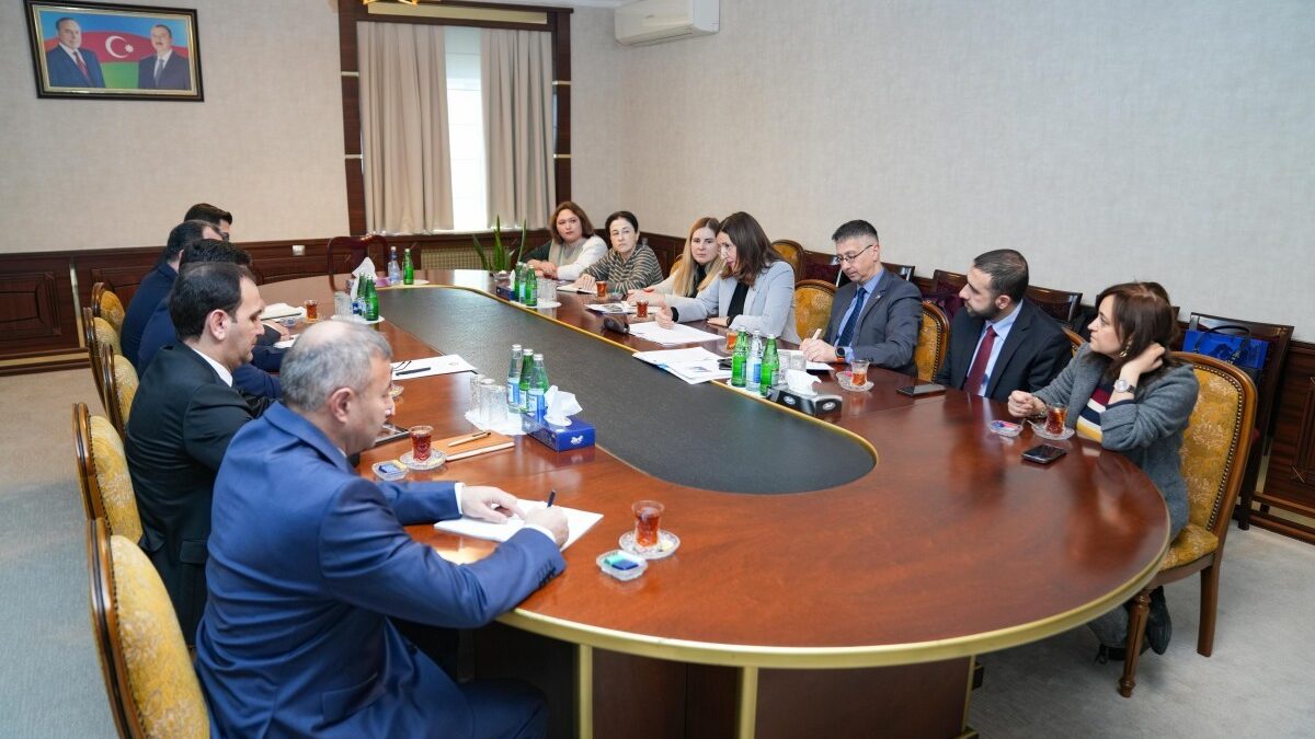 Aİ səfiri Naxçıvana səfər edib