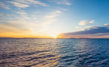 13-year-old child saves his family by swimming for kilometers