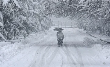 Heavy Snowfall in Japan Claims Lives! 35 Dead, 358 Injured