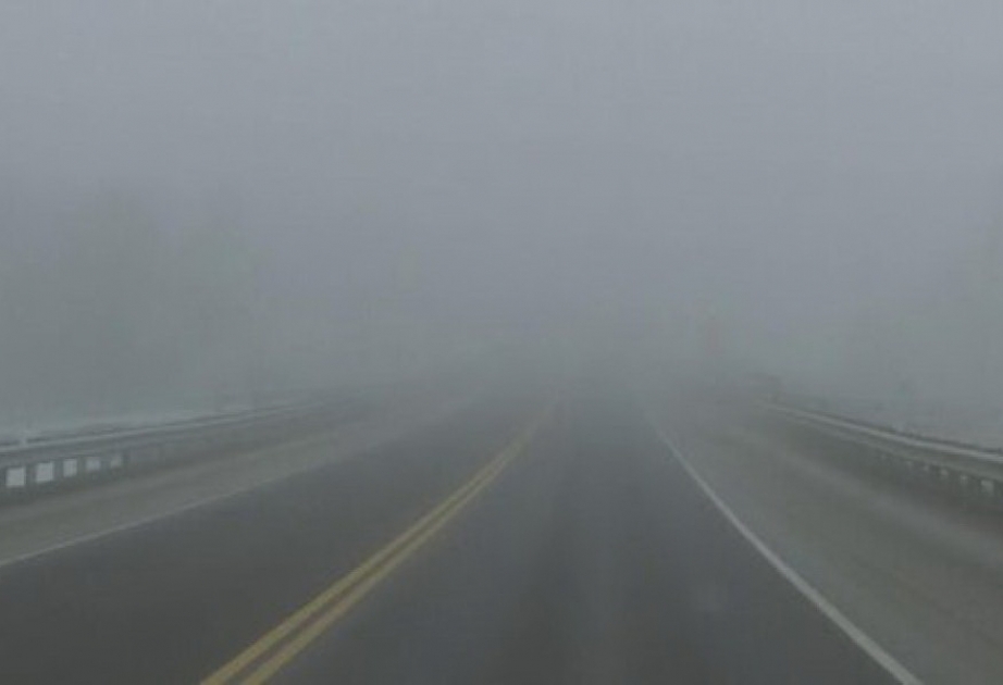 Traffic Police Department appeals regarding fog