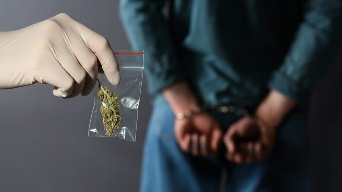 793 drug-related crimes revealed, 207 people detained last month