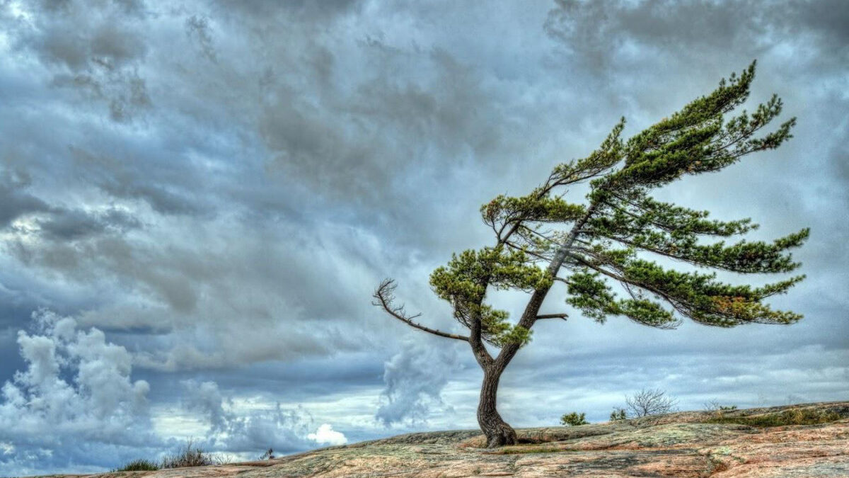 Wind will intensify in some places
