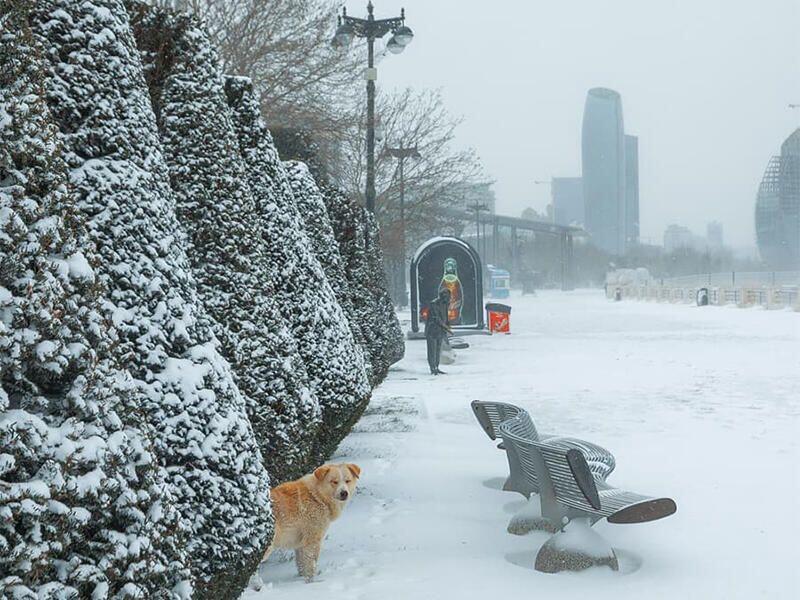 Temperature will drop by 4-6 degrees, snow will fall in some places – WARNING