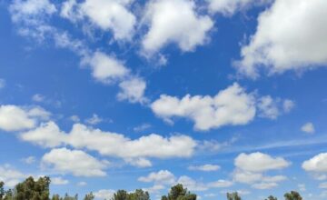 Expected weather conditions for March 1st announced