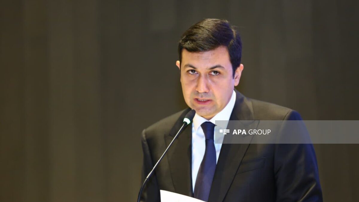 Orkhan Nazarli: Half of economic activity is related to the “formalization” effect