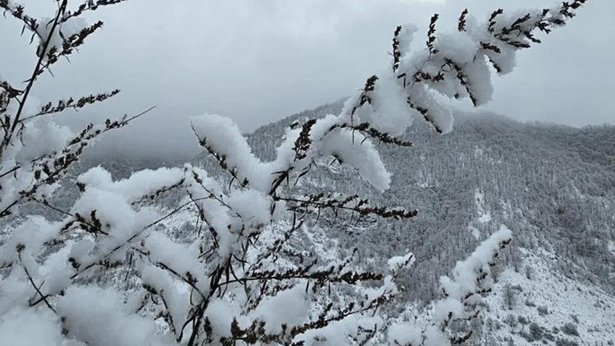 Snow Depth Reaches 41 cm in Shahbuz – ACTUAL WEATHER CONDITIONS