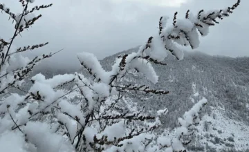 Snow Depth Reaches 41 cm in Shahbuz – ACTUAL WEATHER CONDITIONS