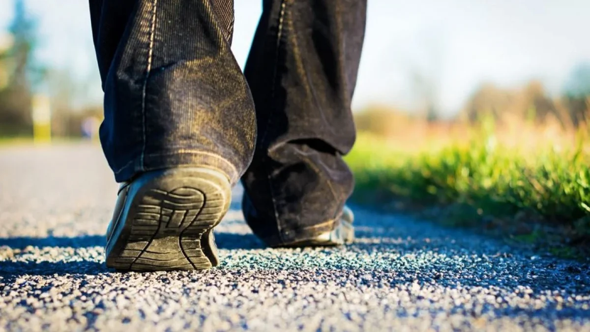 88-year-old man reported missing is being sought