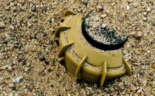 481 mines, 1621 UXO discovered in liberated territories last month