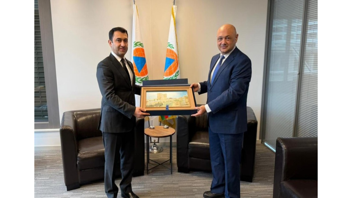 Cooperation between MES and ICDO discussed