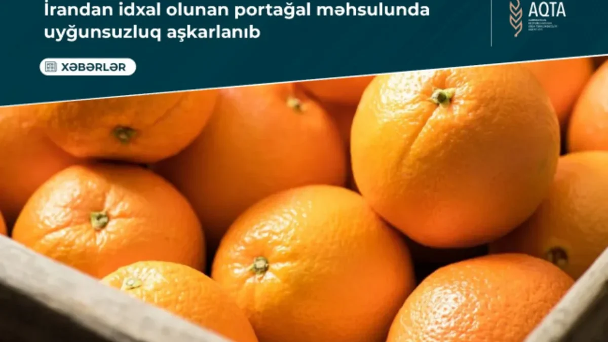 Coloring Agent Detected in More Than 21 Tons of Oranges Imported from Iran to Azerbaijan