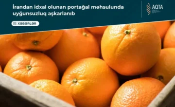 Coloring Agent Detected in More Than 21 Tons of Oranges Imported from Iran to Azerbaijan