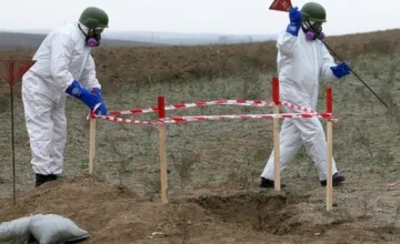 This year, more than 65 thousand hectares of land are planned to be cleared of mines