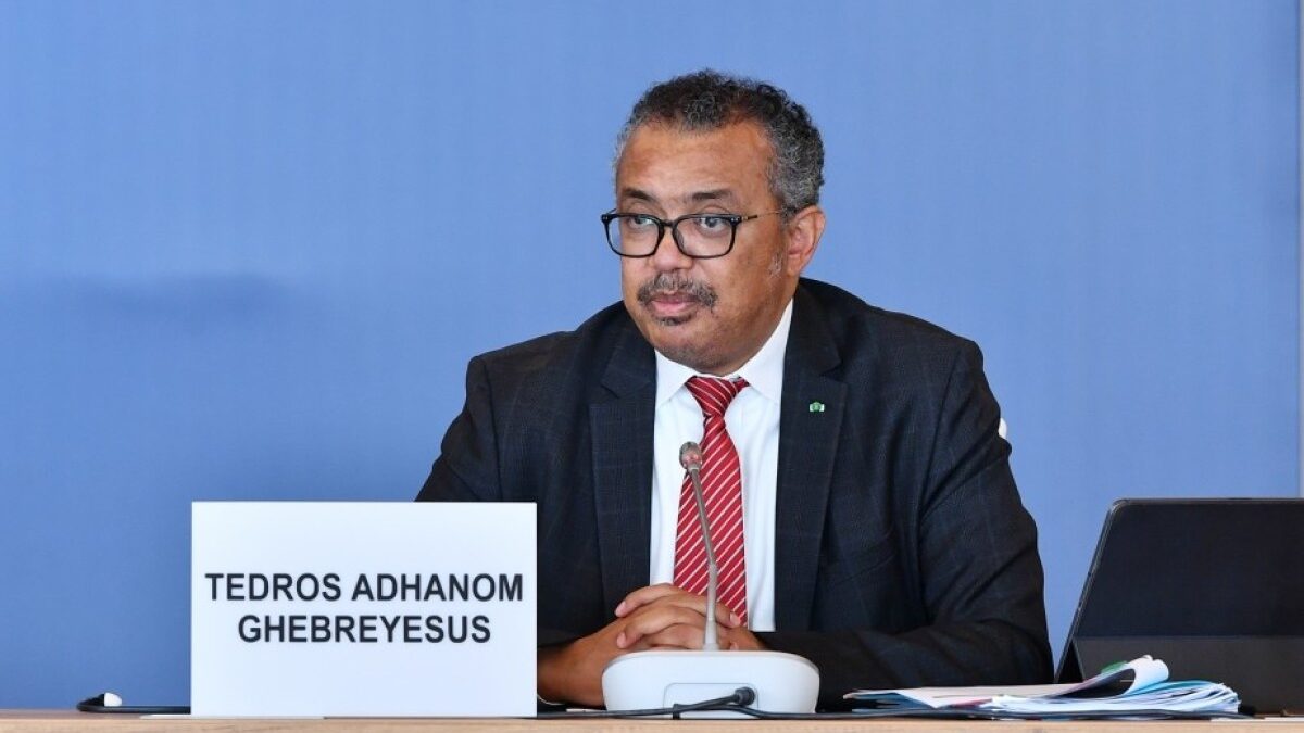 WHO Head: UN Needs Reforms