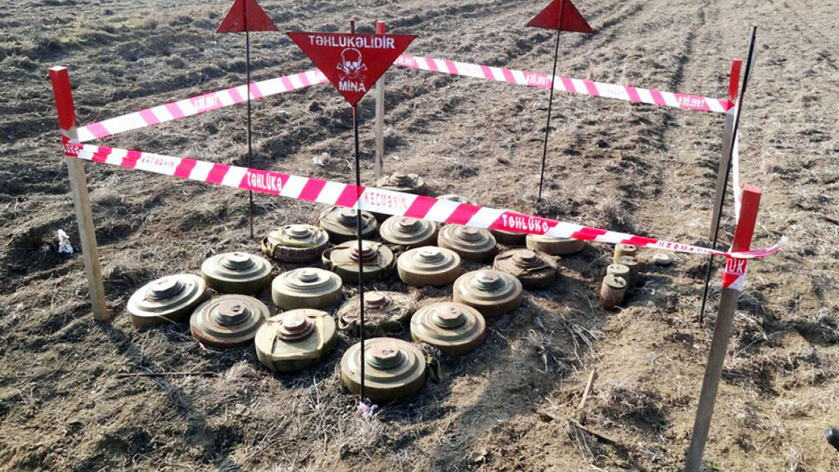 248 thousand hectares cleared of mines in liberated territories