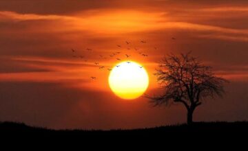 The last 11 years have been recorded as the hottest in history