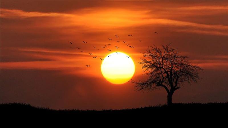 The last 11 years have been recorded as the hottest in history