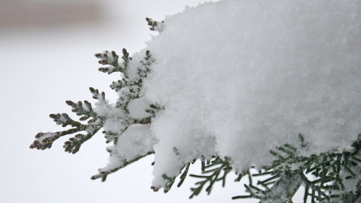 Snow expected – WARNING