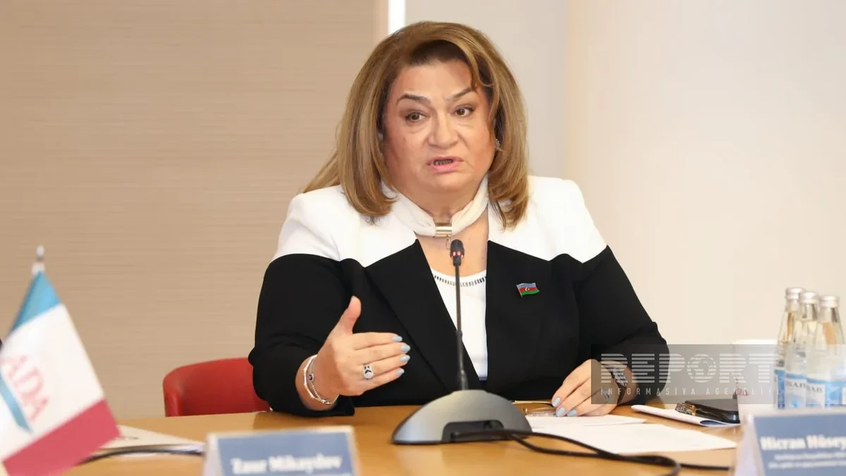 Proposed: Increasing the Powers of the State Committee in Gender Equality