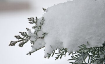 Snow expected – WARNING