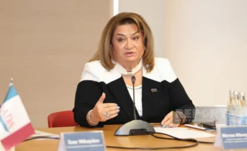 Proposed: Increasing the Powers of the State Committee in Gender Equality