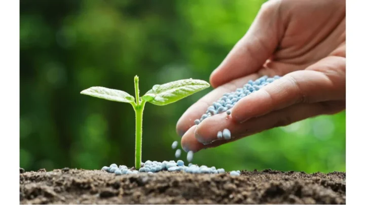 Azerbaijan increased fertilizer supply from Georgia 16 times