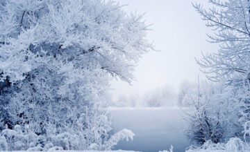 Heavy rain continues, snow depth in Shahdag is 1 meter – ACTUAL WEATHER