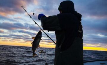 Seasonal fishing ban to be imposed in the Caspian Sea basin