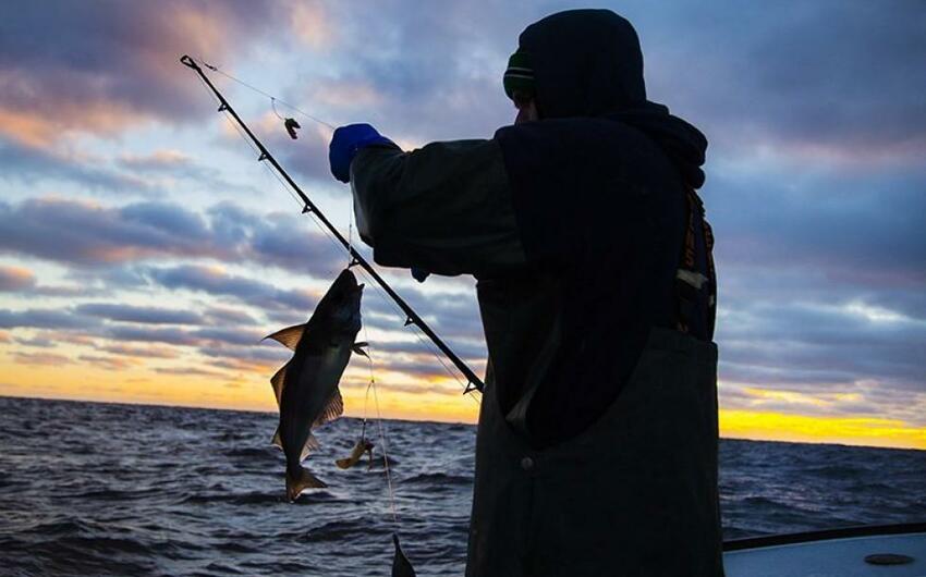 Seasonal fishing ban to be imposed in the Caspian Sea basin