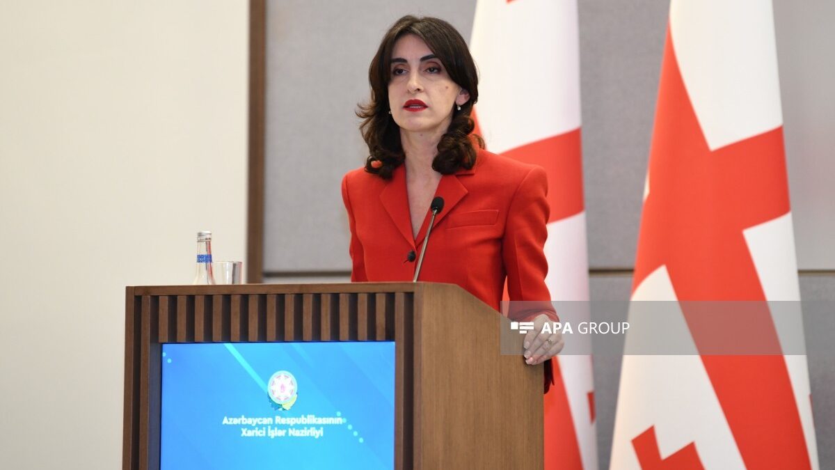 Georgian Foreign Minister: Relations with Azerbaijan are quite intensive
