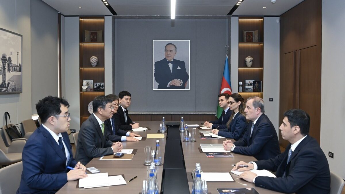 Minister: Azerbaijan carefully considers the professional qualities of candidates for ICJ judgeship