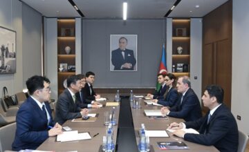 Minister: Azerbaijan carefully considers the professional qualities of candidates for ICJ judgeship