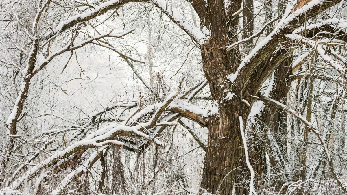 Rain and snow falling in some regions – ACTUAL WEATHER