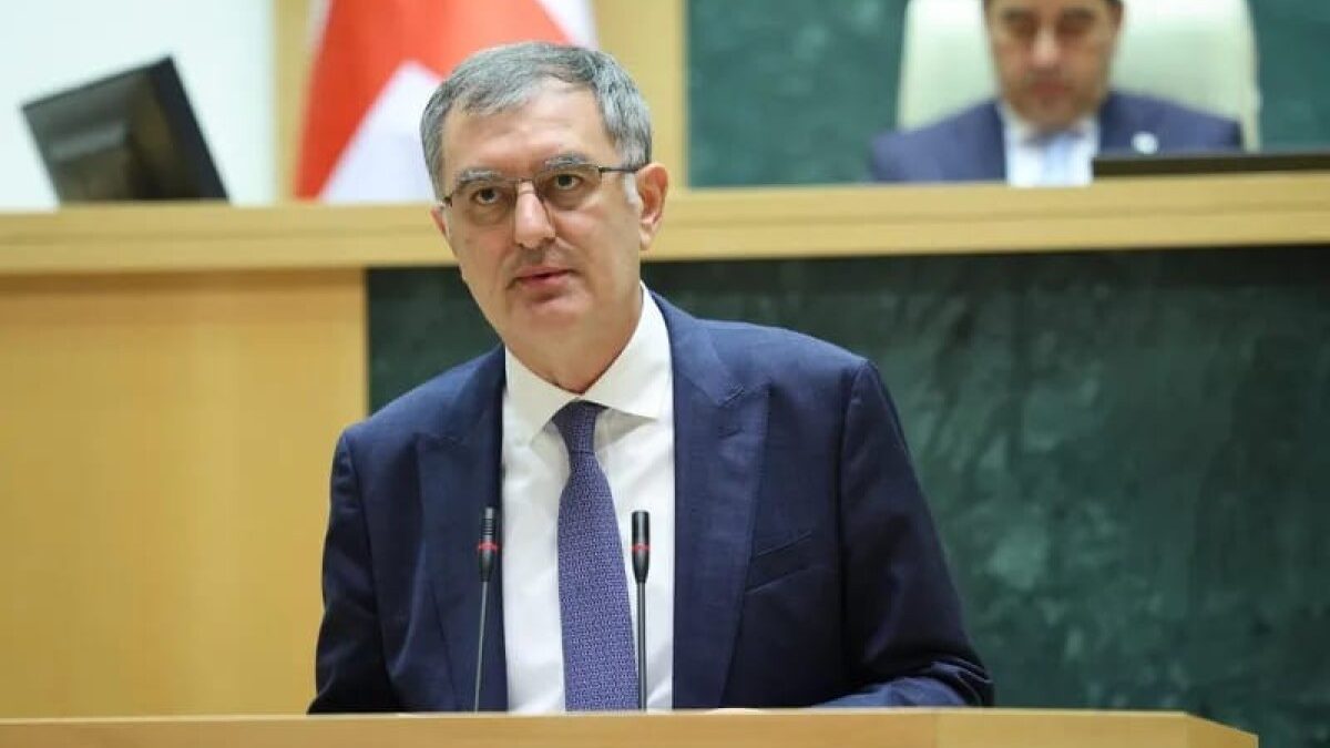 Georgian Vice-Speaker: If there is no peace in Azerbaijan, Georgia’s development is impossible
