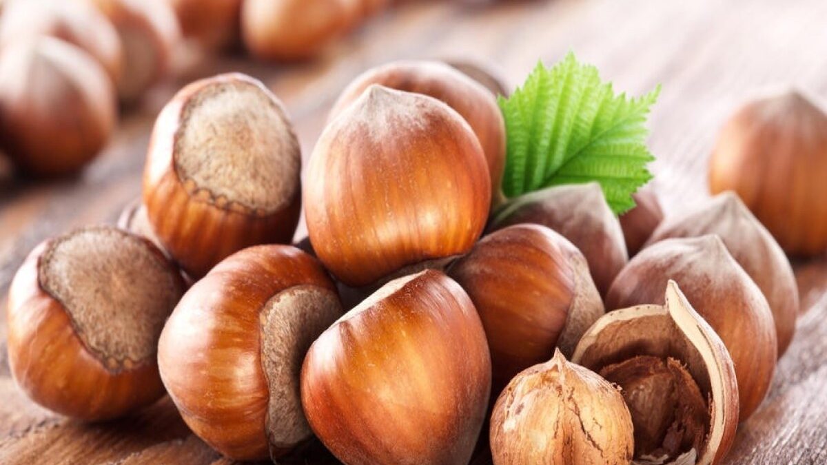 Azerbaijan’s revenues from forest hazelnut exports doubled