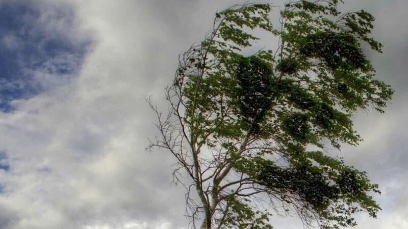 WARNING: Wind speed to strengthen up to 28.4 m/s tomorrow