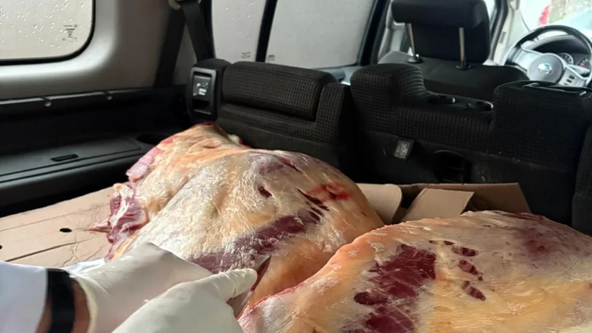 227 kg of horse meat unfit for consumption discovered