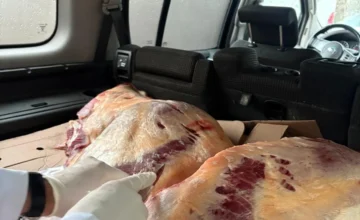 227 kg of horse meat unfit for consumption discovered