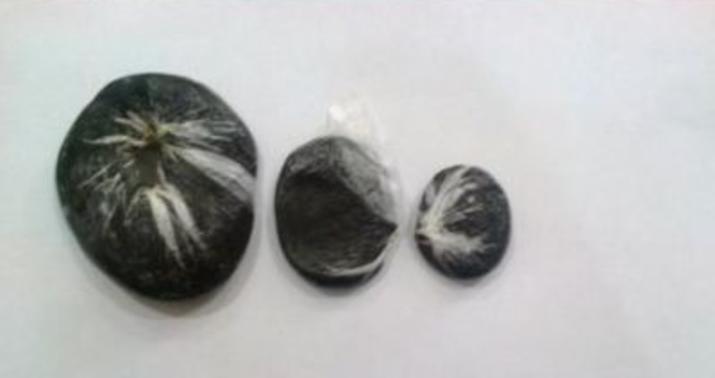 Police discovered more than 44.3 kilograms of narcotic substances