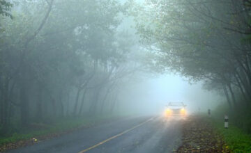Visibility on highways will be limited to 300-800 meters tomorrow