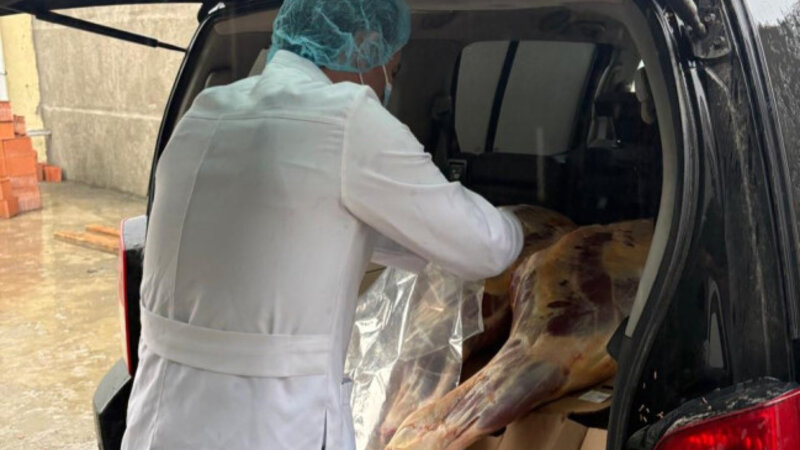 227 kg of unfit horse meat discovered during a raid