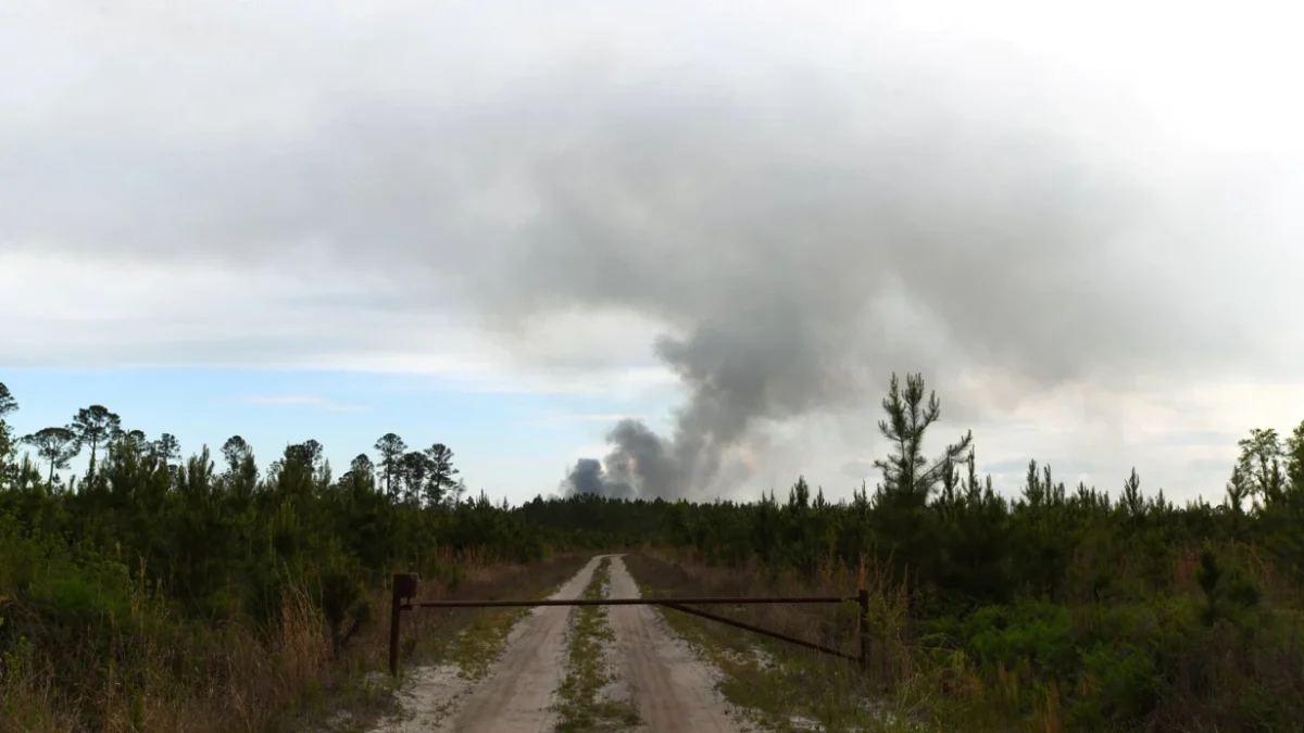 Forest fires in the USA: 54 houses and 27,000 acres of land turned to ashes