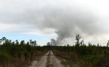 Forest fires in the USA: 54 houses and 27,000 acres of land turned to ashes