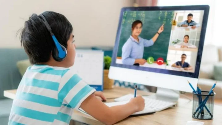 Distant organization of classes during WUF13 will ensure the continuity of education