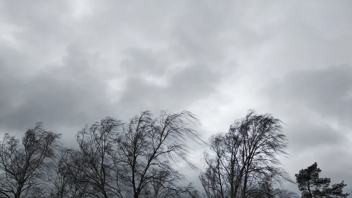 Actual weather: Wind speed has increased in Baku and the Absheron Peninsula