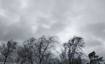 Actual weather: Wind speed has increased in Baku and the Absheron Peninsula