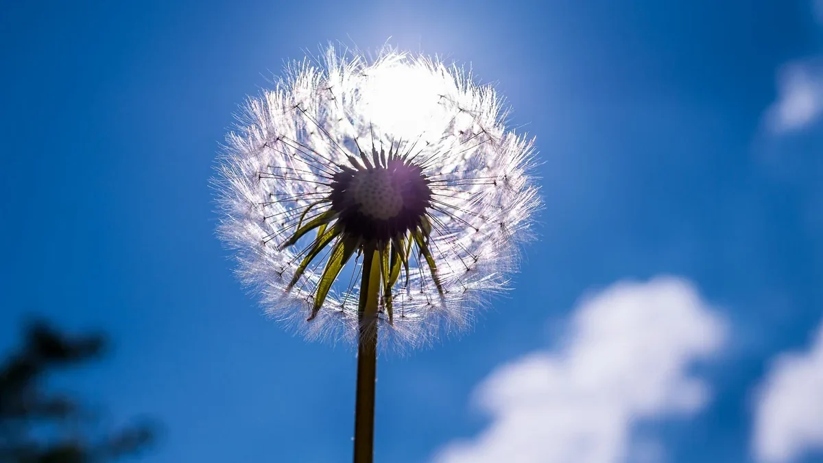 Temperature to rise up to 38 degrees in May – MONTHLY FORECAST