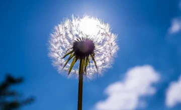 Temperature to rise up to 38 degrees in May – MONTHLY FORECAST