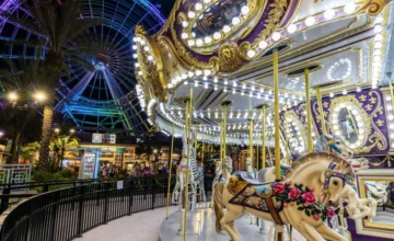 Two police officers injured during riots at an amusement park in the USA